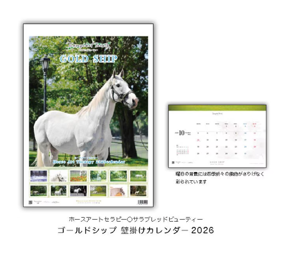 Gold Ship 2026 Wall Calendar A2