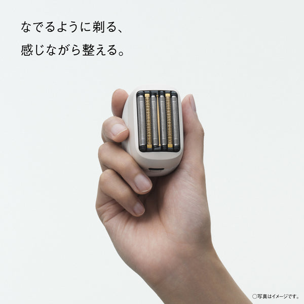 Panasonic Lamdash Palm-In PRO 6-Blade Shaver ES-P650U