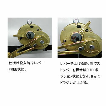 Daiwa Sealine LD60-IISP 00607731 Spinning Reel