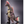 Load image into Gallery viewer, Godzilla Store Exclusive Movie Monster Series Titanosaurus
