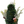 Load image into Gallery viewer, Loft Exclusive Mini Christmas Tree 4.33 Inch
