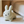 Load image into Gallery viewer, Bruna Bonbon Fuwamoko Miffy Inflatable Plush Toy
