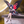 Load image into Gallery viewer, Accel World Kuroyukihime Noodle Stopper Figure

