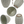 Load image into Gallery viewer, Shigaraki Ware White Glaze Carved Yunomi Tea Cup 250ml
