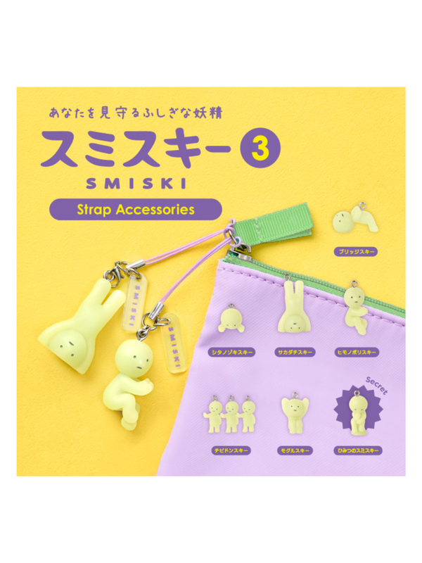 SMISKI Strap Accessories Series 3 Blind Capsule Box