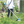 Load image into Gallery viewer, Makita MUR191UDRG 18V Cordless Brush Cutter 230mm U-Handle Split Shaft
