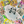 Load image into Gallery viewer, Hobonichi Cousin A5 ONE PIECE Episode 1000 Planner Cover
