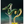Load image into Gallery viewer, S.H.Figuarts Dragon Ball Shenron Figure
