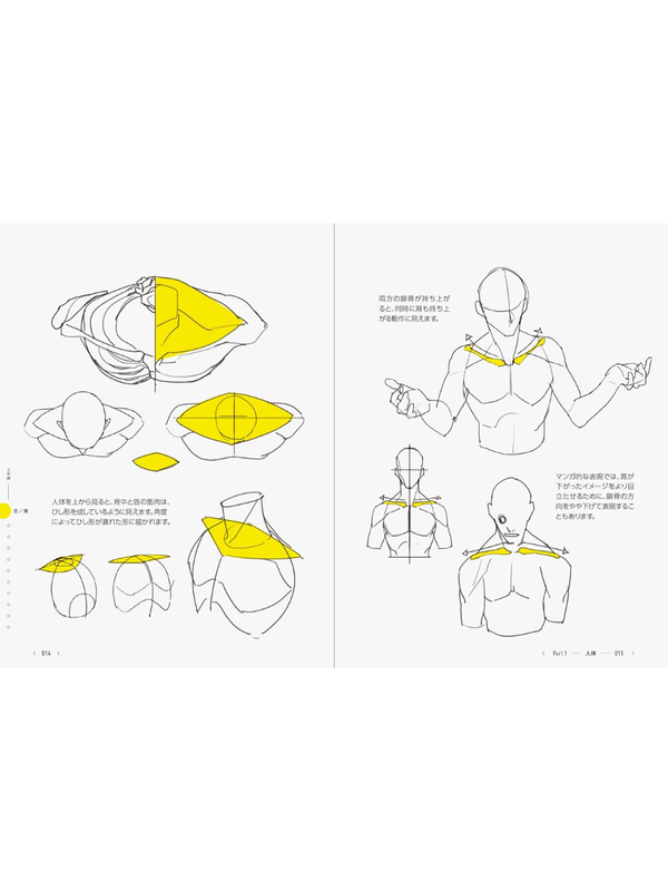 TACO's Human Figure Drawing Guide 390 Tips