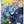 Load image into Gallery viewer, Animedia October 2025 Magazine Japanese Anime Issue
