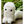 Load image into Gallery viewer, Witch Hat Atelier Vol.12 Limited Edition Fudemushi Plush Set
