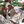Load image into Gallery viewer, spoon.2Di Vol.136 Japanese Anime Magazine
