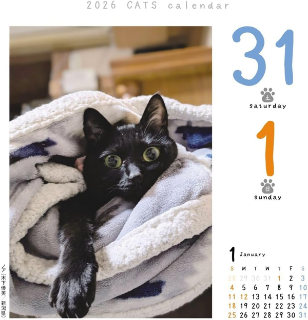 C.O.T.O Cat Turning 2026 Daily Calendar Refill – CK-C26-02 (Japan)