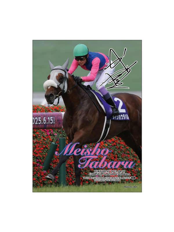Horse Jigsaw Puzzle 500 Pieces – Meisho Tabal
