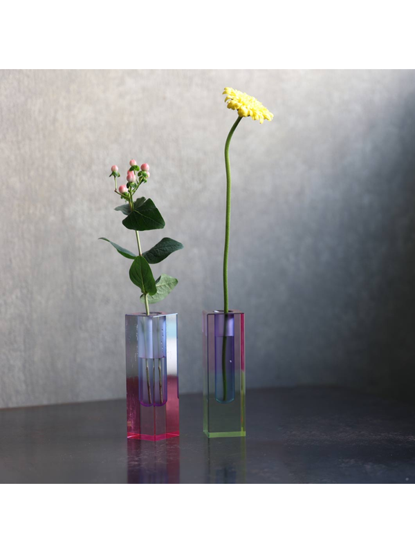 Elixir Acrylic Vase Gradient Color Decorative Flower Vase