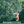 Load image into Gallery viewer, HiKOKI CHP1825DA 18V Cordless Pole Hedge Trimmer
