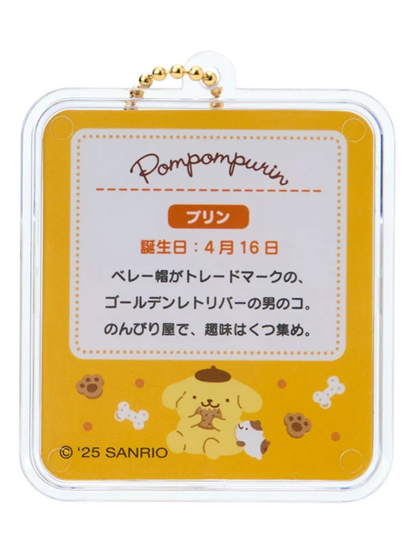 Sanrio Pompompurin Miniature Toy Package Charm