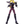 Load image into Gallery viewer, Saint Seiya Myth Cloth Lizard Misty Surplice Action Figure
