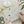 Load image into Gallery viewer, Hobonichi Whiteboard Calendar 2027 with File Pocket
