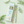 Load image into Gallery viewer, My Neighbor Totoro 2B Pencil Set 12 Pack Colorful Leaf Design
