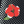 Load image into Gallery viewer, Kapital fastcolor selvedge bandana (TWIN HIBISCUS)
