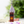 Load image into Gallery viewer, Spirited Away Boh Mouse &amp; Fly Bird Keychain
