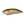 Load image into Gallery viewer, Megabass I×I FURIOUS 0.5 Shallow Diving Lure High Speed Crankbait Fishing Lure

