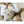 Load image into Gallery viewer, Bruna Bonbon Fuwamoko Miffy Inflatable Plush Toy
