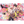 Load image into Gallery viewer, Monthly Comic Gene September 2026 Magazine
