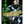 Load image into Gallery viewer, Resident Evil The Marhawa Desire Manga Complete Set Vol.1–5
