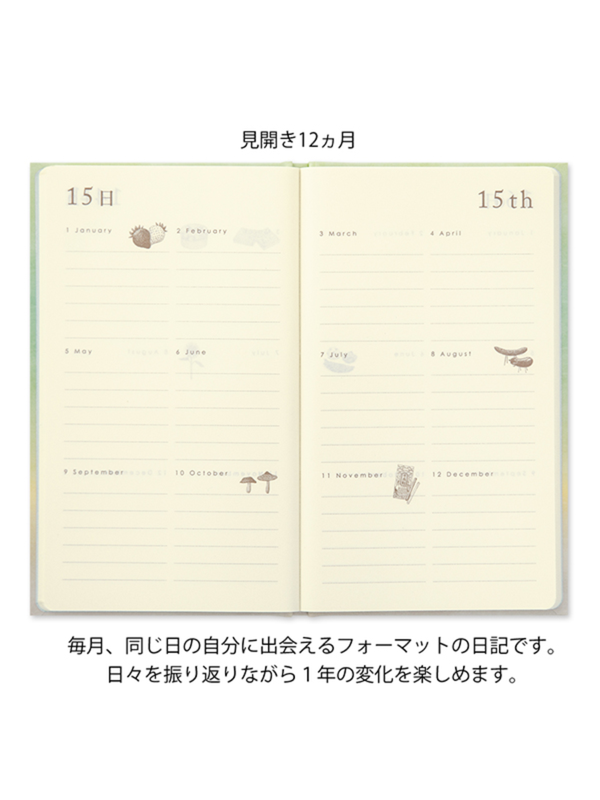 MIDORI 12 Month Continuous Diary - Green (12899006)