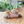 Load image into Gallery viewer, Moomin Little My Kutatto Biyori Plush Mascot
