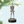 Load image into Gallery viewer, Hallmark Keepsake 2025 Star Wars The Mandalorian Grogu Operating IG-12
