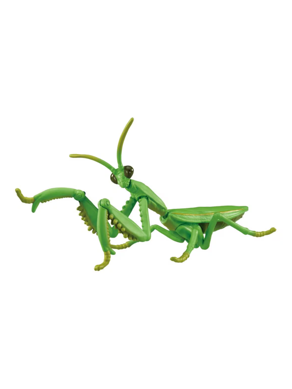 Ania AL-32 Giant Mantis Animal Figure Movable Insect Toy