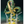 Load image into Gallery viewer, S.H.Figuarts Dragon Ball Shenron Figure
