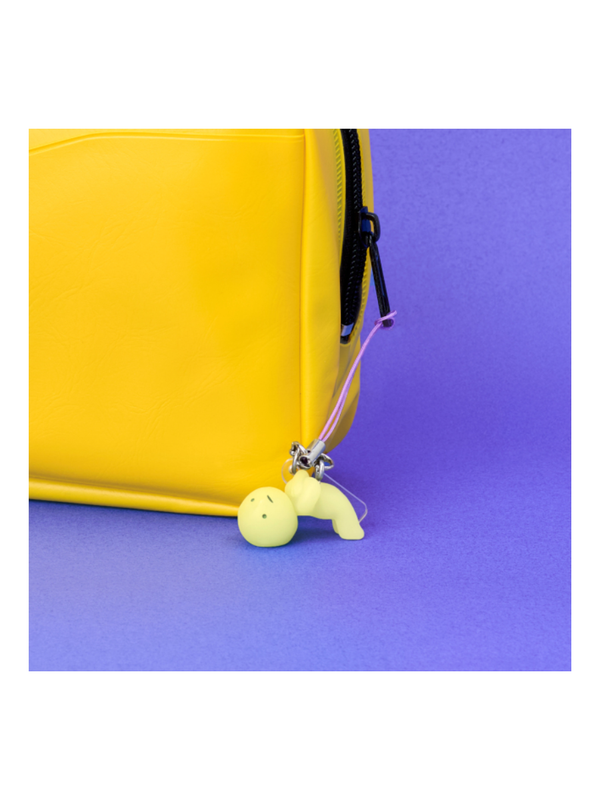 SMISKI Strap Accessories Series 3 Blind Capsule Box