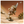 Load image into Gallery viewer, SKULLPANDA The Feast Begins Blind Box Series POP MART
