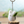 Load image into Gallery viewer, My Neighbor Totoro Small Totoro Plush Keychain
