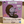 Load image into Gallery viewer, Moomin Ichiban Kuji Prize D Desktop Figure Ancestor Character
