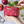 Load image into Gallery viewer, Hobonichi Moomin Little My Drawer Pouch Pocket

