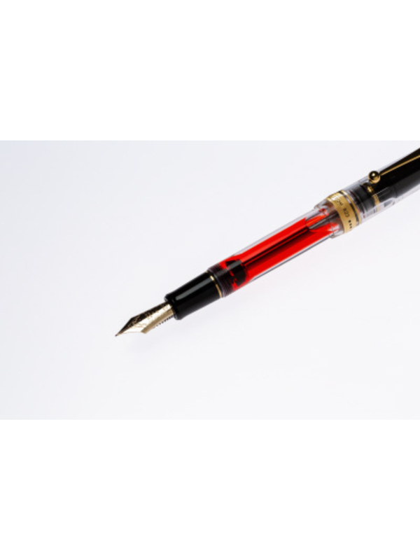 Pilot Custom 823 Fountain Pen 14K Gold #15 Nib Transparent F M B Signature FKK-3MRP-NC