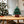 Load image into Gallery viewer, LEGO Icons Family Christmas Tree Set (41843)
