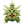 Load image into Gallery viewer, Pokemon Moncolle Mega Tyranitar Figure

