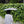Load image into Gallery viewer, Senz Micro Foldable Umbrella
