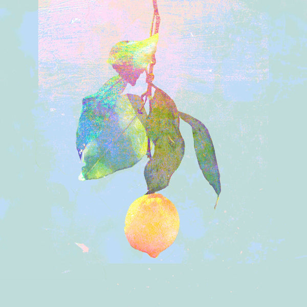 Kenshi Yonezu First Limited Edition Lemon Video CD+DVD