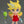 Load image into Gallery viewer, Nendoroid Panty New Ver. Figure [Pre-order]
