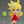 Load image into Gallery viewer, Nendoroid Panty New Ver. Figure [Pre-order]
