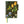 Load image into Gallery viewer, Hobonichi Techo A6 Cover TOLIGHT Botanical Garden
