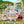 Load image into Gallery viewer, Sylvanian Families Cotton Rabbit Family celebration Figure Set
