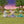 Load image into Gallery viewer, Sylvanian Families Fairy Forest Mysterious Baby Figure Set
